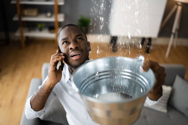 Best Water damage restoration near me  in Ravenswood, WV