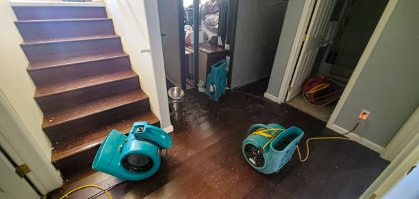  Ravenswood, WV Water damage restoration Pros