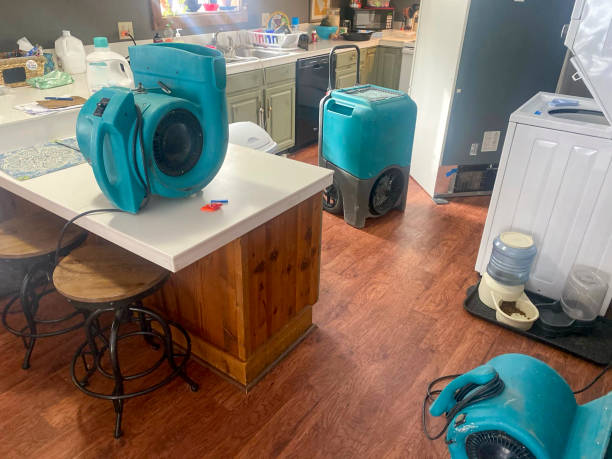 Best Water damage restoration near me  in Ravenswood, WV