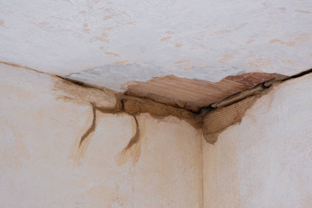 Best Water damage repair service  in Ravenswood, WV