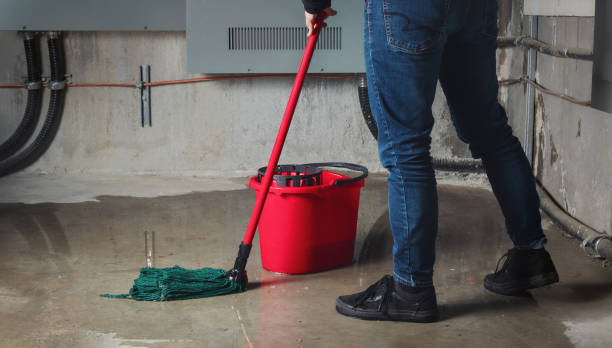 Best Basement water damage restoration  in Ravenswood, WV