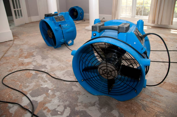 Best Water damage contractors near me  in Ravenswood, WV