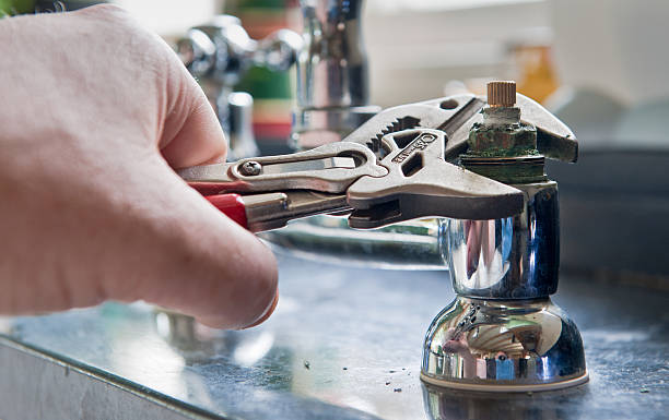 Best Flood restoration services  in Ravenswood, WV