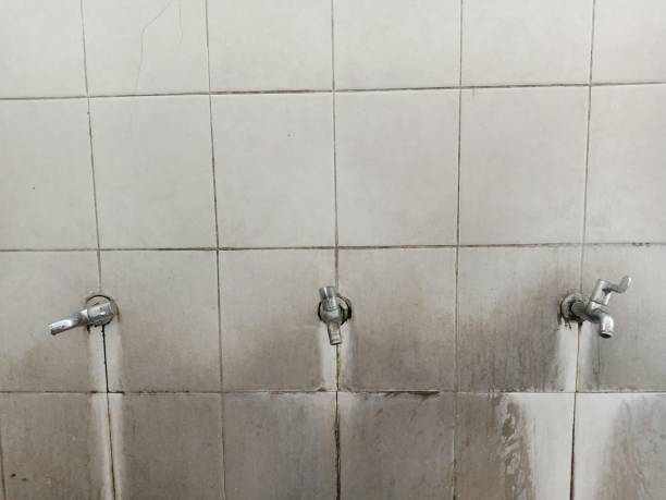 Best Fire Damage Restoration  in Ravenswood, WV
