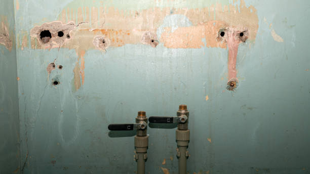 Professional Water damage restoration in Ravenswood, WV