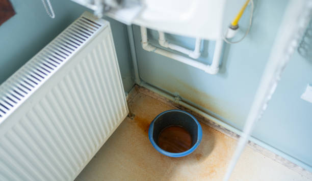 Best Mold removal after water damage  in Ravenswood, WV